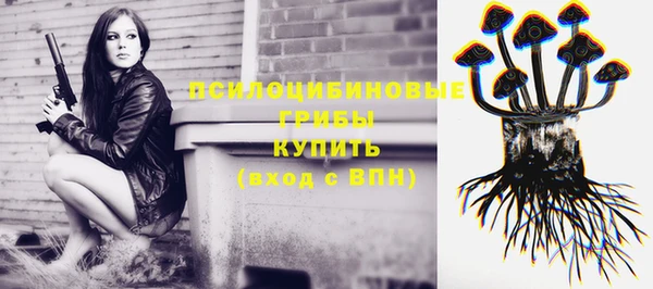 синтетический гашиш Алексеевка