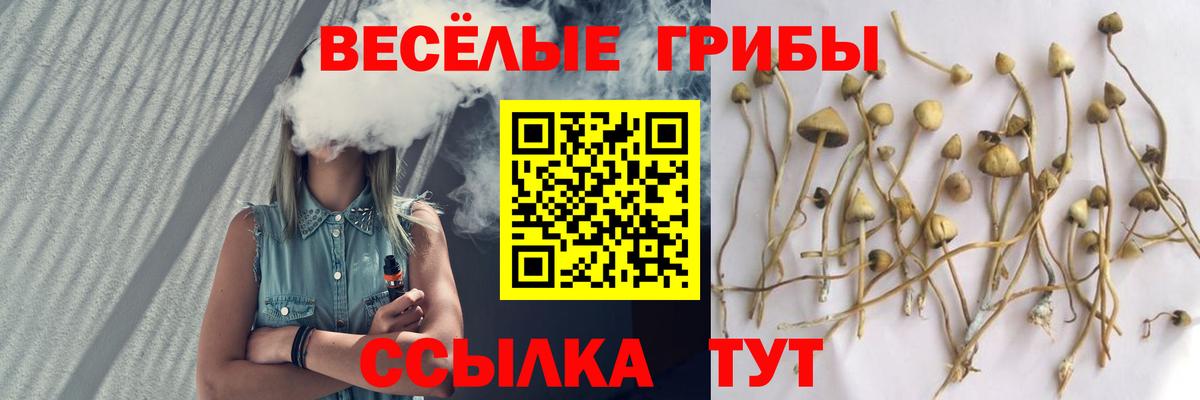 Бирск  Галлюциногенные грибы Magic Shrooms  Галлюциногенные грибы мухоморы  Вход с VPN 