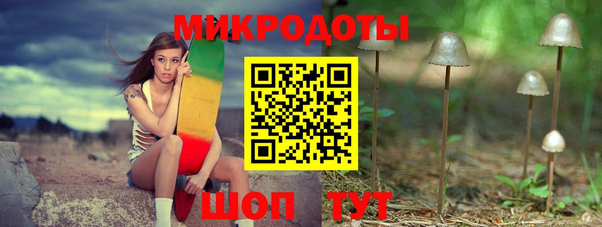 Галлюциногенные грибы Cubensis Бирск